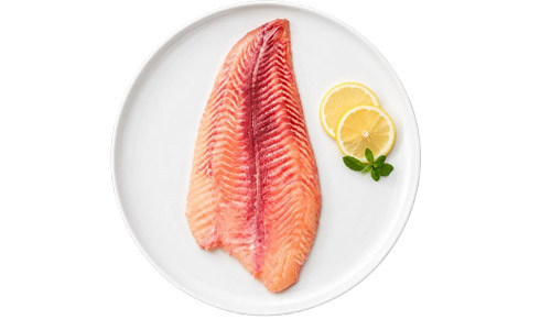 Apolo Fish